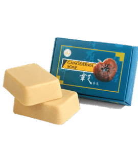 Savon ganoderma