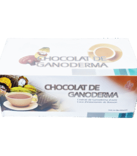 Mélange de Chocolat Instantané avec poudre de Ganoderma